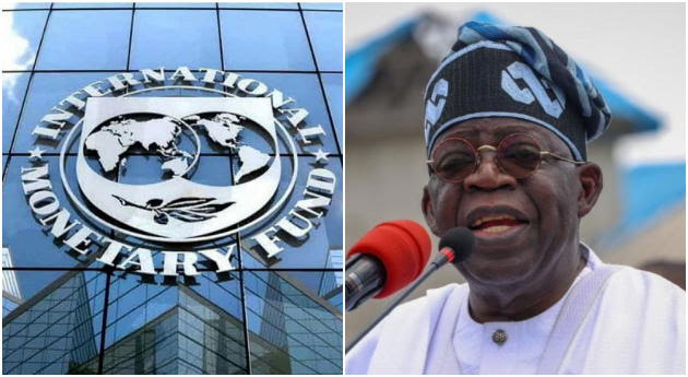 I.M.F urges Nigeria to increase tax revenue, tackle evaders