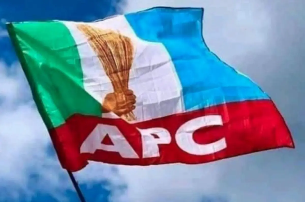 Lagos APC Primaries: Results trickle as candidates emerge in Badagry, Surulere, Epe, others